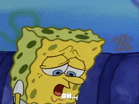 season 1 GIF by SpongeBob SquarePants