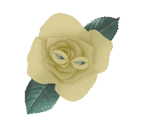 Suspicious Pink Sticker