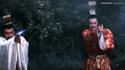 Martial Arts Fight GIF by Arrow Video