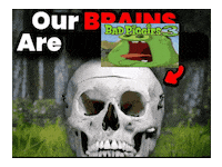 Bad Piggies Sticker