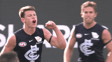 carltonfc blues carlton walsh carlton football club GIF