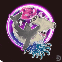 Discovery Channel GIF by Shark Week