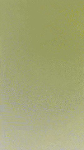 Shrek Donkey GIF by Youtooz