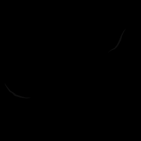 HushNaturalHN giphyupload hushnatural hushhn hushrosas GIF