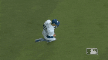 Excited Major League Baseball GIF by MLB
