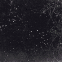 Snow Night GIF by Trevor Anderson