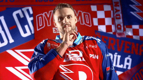 Hockeytown GIF by HC Dynamo Pardubice