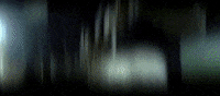 Blac Youngsta GIF by Moneybagg Yo