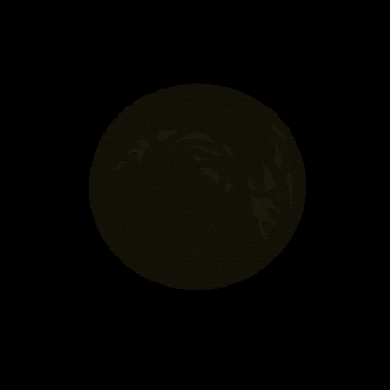 irene_hsyu giphygifmaker giphygifmakermobile cat hello GIF