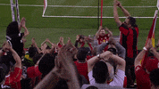 Red Bulls GIF by New York Red Bulls