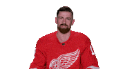 Red Wings Sport Sticker by Detroit Red Wings