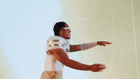 Georgia Tech Football Sport GIF by Georgia Tech Yellow Jackets
