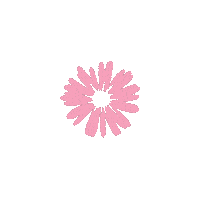 Scrapgami flower bow flor accessories Sticker