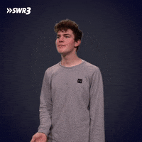 Party Clubbing GIF by SWR3