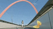 ååé lines GIF by Carola Insolera