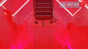 Big Brother Surprise GIF by Big Brother Australia