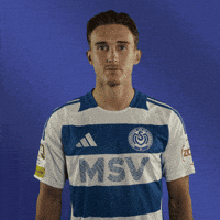 Zebras Sussek GIF by msvduisburg