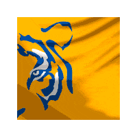 clubtigresuanl tiger bandera tigre tigres Sticker