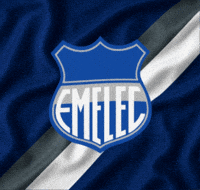 Bombillo Electricos GIF