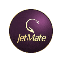 Fight Jet Sticker by JetMate - Online Flight Support