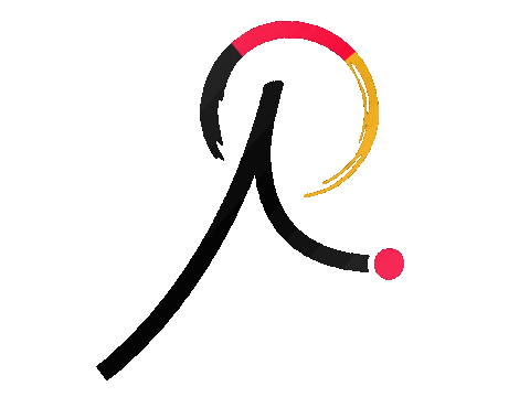 Spikeball Sticker by Roundnet Germany