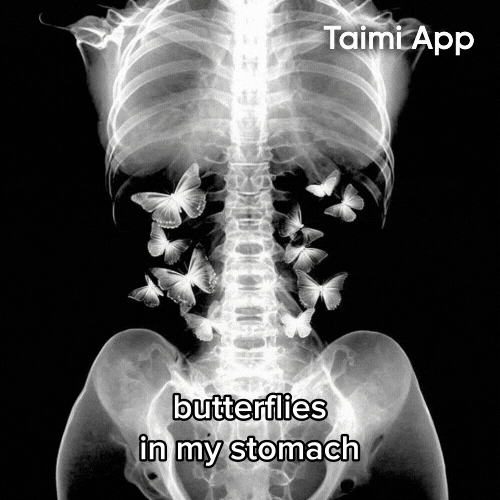 X Ray Butterflies GIF by Taimi