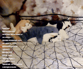 unuasha giphyupload unuasha GIF