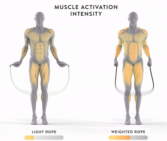 primazon giphyupload GIF