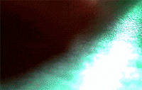 Martin Scorsese Casino GIF by Filmin