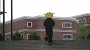 Wu_Shock college wu wsu collegelife GIF