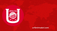 urfaninnabzi news breaking news sondakika şanlıurfa GIF