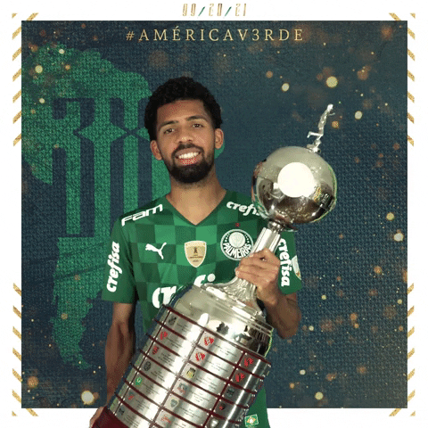 Soccer Futebol GIF by SE Palmeiras