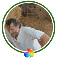 Team D Sticker by discovery+