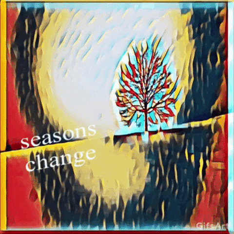 iracemaarts tree change seasons arvore GIF