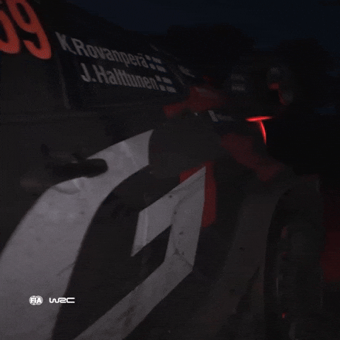 Racing Glowing GIF by FIA World Rally Championship