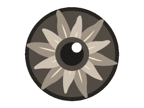 IrisFotoSchweiz giphyupload photography eye spinning Sticker