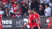 Roazhon Park Football GIF by Stade Rennais F.C.