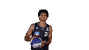 Basketball Ball Sticker by HAKRO Merlins Crailsheim