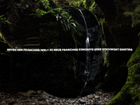 Enjoy Lol GIF by FranchiseONE.de