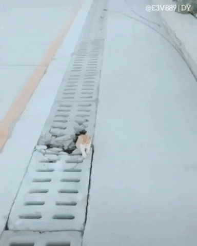 gif-vif giphyupload go go go GIF