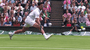 Sliding Novak Djokovic GIF by Wimbledon
