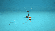 curiosity is the key "y" GIF by noe_design
