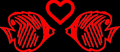 diveadventures giphygifmaker travel dive diving GIF