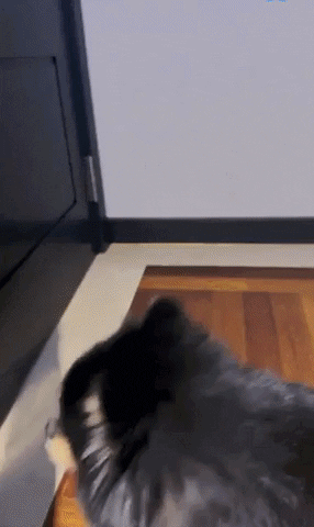 mathiho giphyupload GIF