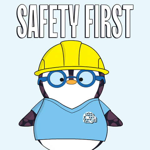 Penguin Stay Safe GIF by Pudgy Penguins
