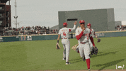 Ncaa Baseball GIF by Arkansas Razorbacks