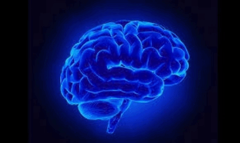 throbing blue brain colin stewart jones GIF