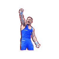 Fgi Sticker by Federazione Ginnastica d'Italia
