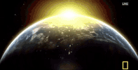 GIF by National Geographic Channel