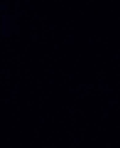 MaxxFitness gym training maximum nextlevel GIF